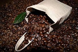 Café - Pura Vida Cafe